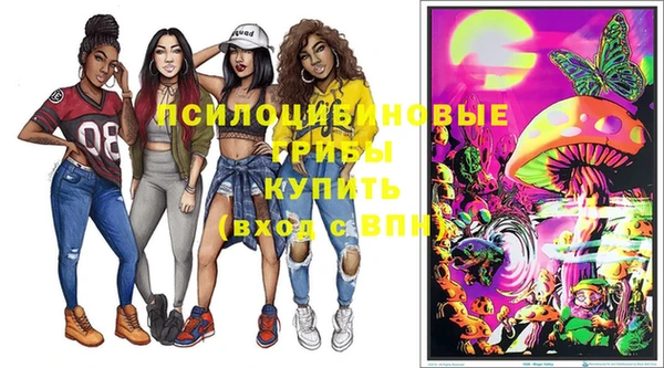 гашик Нея