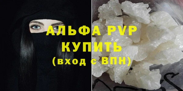прущие грибы Нефтекумск