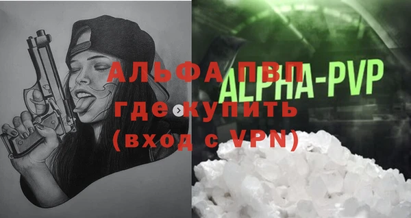 гашик Нея