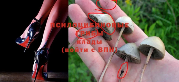 гашик Нея