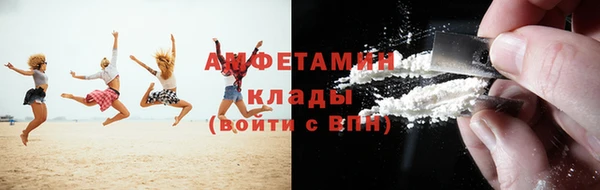 прущие грибы Нефтекумск