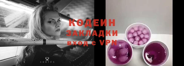 прущие грибы Нефтекумск