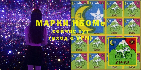 гашик Нея