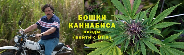 сатива Вязники