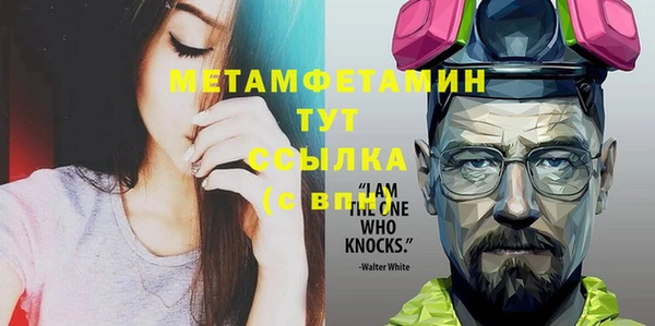 прущие грибы Снежногорск