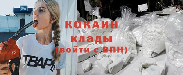 гашик Нея