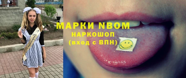 прущие грибы Нефтекумск