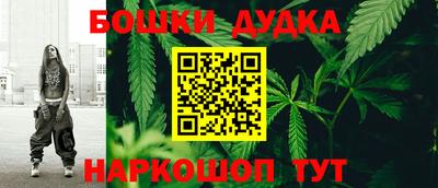 МДПВ Гатчина