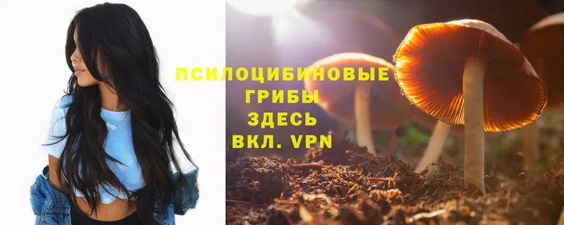 Псилоцибиновые грибы Magic Shrooms  hydra как зайти  Югорск 