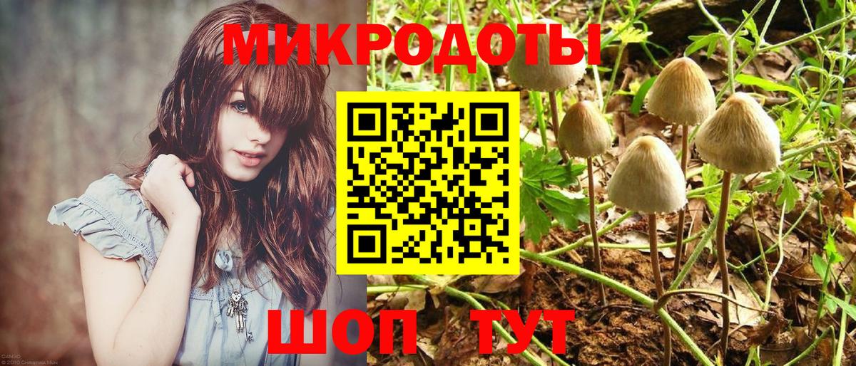 Галлюциногенные грибы MAGIC MUSHROOMS Югорск
